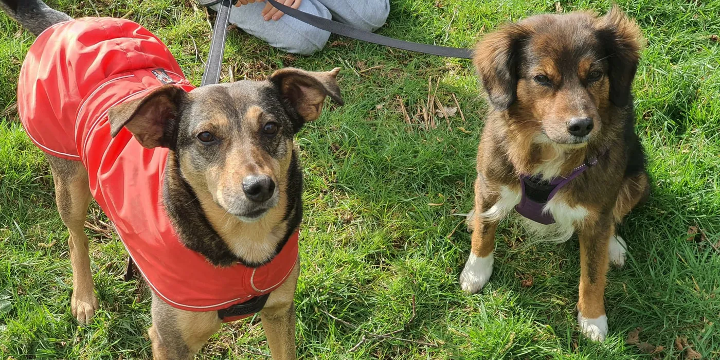 Maggie and Kaya